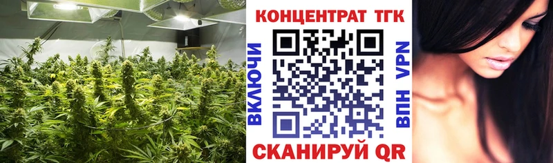 где можно купить наркотик  Кедровый  ТГК THC oil 