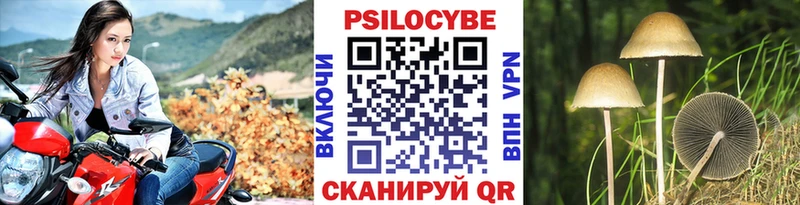 хочу наркоту  Кедровый  МЕГА ONION  Псилоцибиновые грибы MAGIC MUSHROOMS 