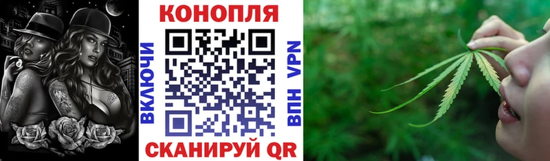 Канабис гибрид Кедровый